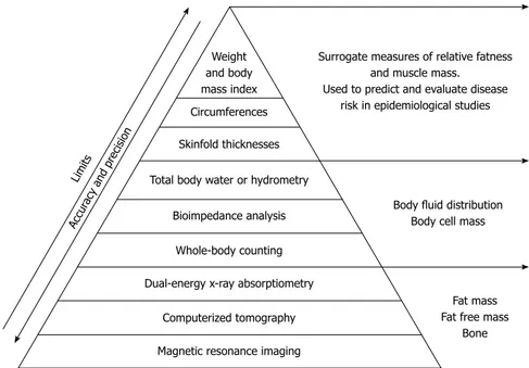 Figure 1  Techniques in body composition.