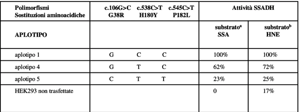 Tabella 8 I dati sono espressi come percentuale per l’attività SSADH dalla media di a) triplicati di due esperimenti  in vitro e b) triplicati di tre esperimenti in vitro.
