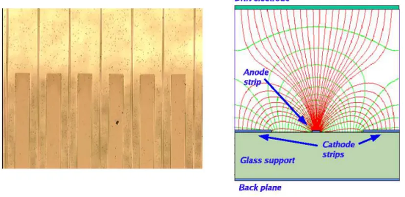 Figure 3.1: Micro Strip Gas Chamber: left) picture of the anode and cathode strips; right) sketch of the detector.