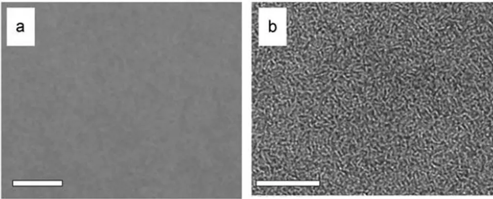 Figure 9 - TEM images of a P3HT:PCBM composites: a) blend (1:1) of P3HT and PCBM prior to  annealing  (scale  bar  0.5mm);  b)  the  same  sample  after  annealing  at  150°C  for  30min  (scale  bar  0.5mm)