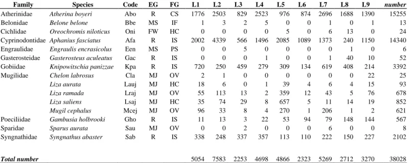 Table 3.1. Total abundance (number of fish) of the species caught in each station of Lesina Lagoon