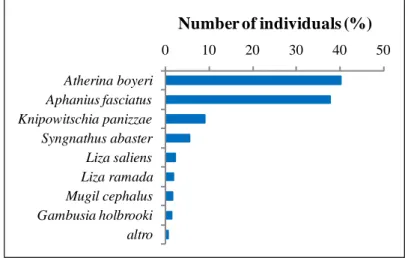 Figure 3.2. Total abundances of the species captured in the Lesina Lagoon. 