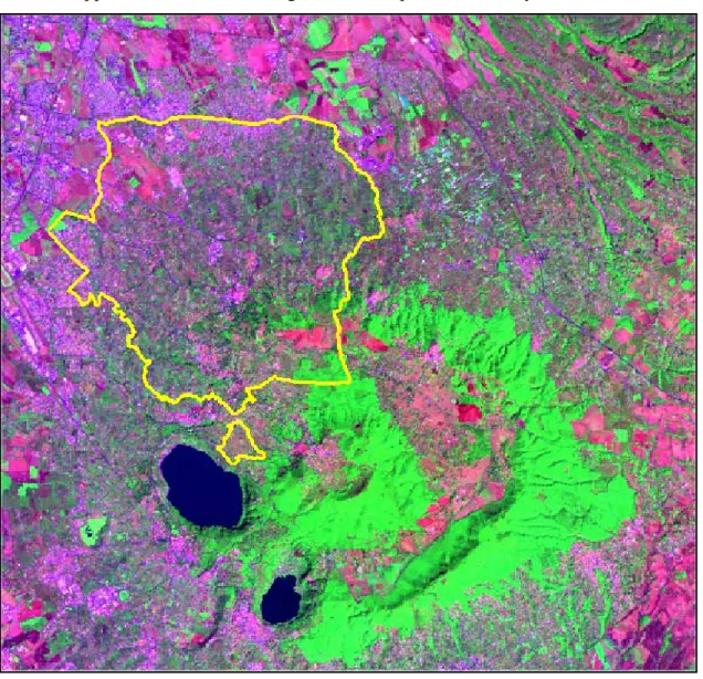 FIG. 3.   Landsat TM (RGB 7,4,1) image of the DOC area.  