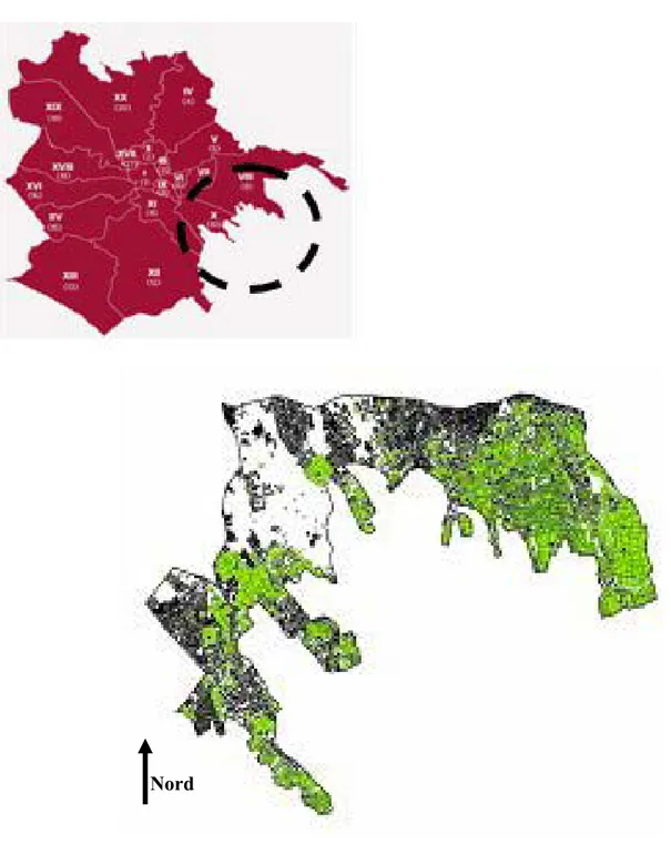 FIG. 13.    Up: Rome and its municipalities. Down: location of crops and urban areas.  