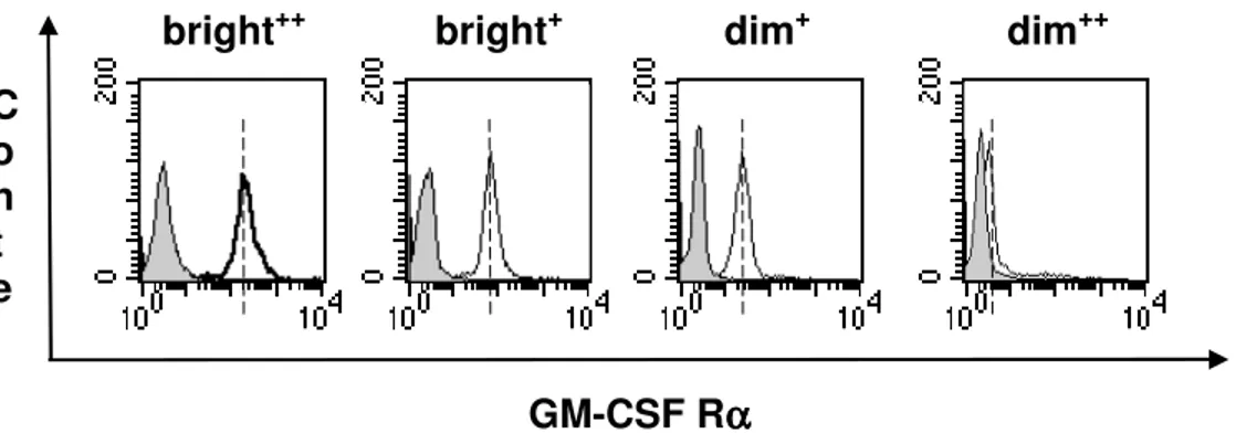 Figura  2: Variazione  donatore-dipendente  dell’espressione  della  subunità  α  α  α  α  del  GM- GM-CSFR  in  monociti  del  sangue  periferico  umano