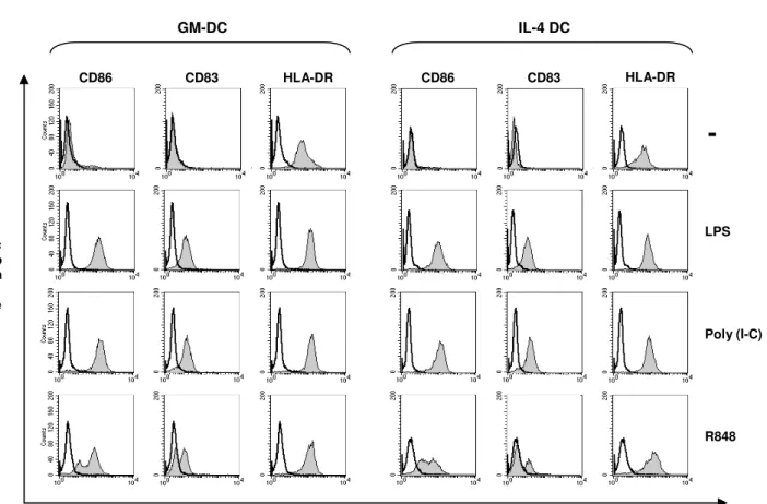 Figura 5:  Analisi fenotipica delle GM-DC stimolate con poly I-C e R848. Le GM-DC e le IL-4 DC  sono state trattate con LPS (200 ng/ml), poli I-C (20  µ g/ml) o R848 (2  µ g/ml) al giorno tre di coltura