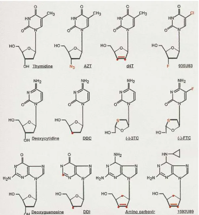 Figure 31. Chemical structures of several NRTIs. These molecules can be classified as analogs of thymidine,  deoxycytidine and deoxyguanosine [144].