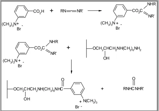 Fig. 9.4 Derivatizzazione della fase stazionaria. -(CH3)3NCO2HRNNR'Br (CH 3 ) 3 N CO 2 CBr NR' NHR(CH3)3NCO2CBrNR'NHROCH2CHC H2NH(C H2)6NH2OHOCH2C HCH2NH(CH2)6NHCOHON(C H3)3BrRNHC NHR'O++-+ + -+++