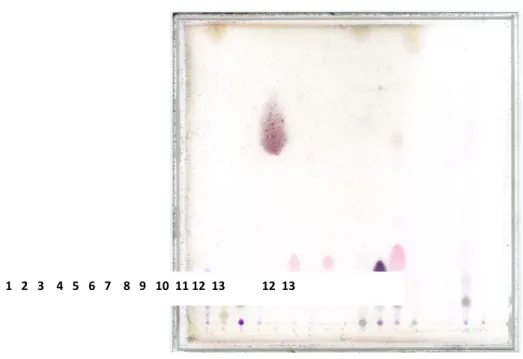 Fig	
  3:	
  cromatografia	
  OPLC	
  degli	
  standard	
  e	
  degli	
  olii	
  considerati	
  ottenuta	
  con	
  fase	
  mobile	
  esano-­‐etile	
  acetato	
   98:2	
  (Vtot	
  =	
  6,00	
  ml,	
  fl	
  =	
  0,30	
  ml/min,	
  Vr	
  =	
  300	
   µ l,	
  