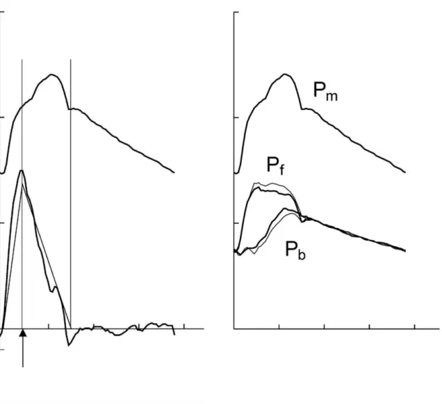 Figura 5. Scomposizione dell’onda sfigmica mediante modello triangolare  del flusso. 