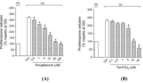 Fig. 23. L’effetto antiproliferativo del rosiglitazone (Rgz) o della PGJ 2  (B) su cellule BSMC
