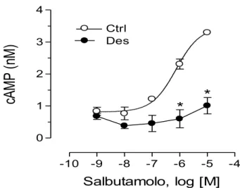 Fig. 14. Curva dose-risposta per il salbutamolo nelle BSMC trattate con il  veicolo  (Ctrl)  o  desensibilizzate  con  salbutamolo  1  µM  per  24  h  (Des)