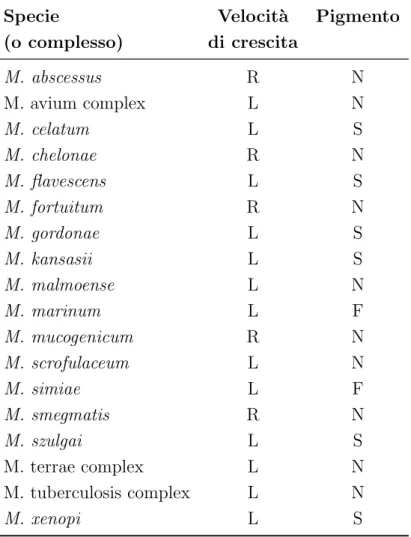 Tabella 2.2: Caratteri fenotipici delle principali specie micobatteriche.
