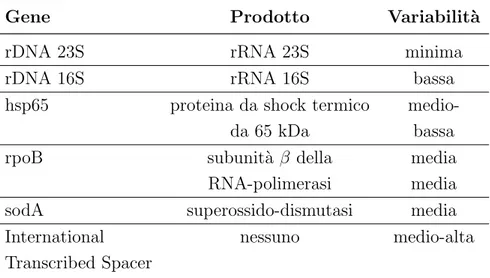 Tabella 2.3: Principali regioni conservate del genoma micobatterico.