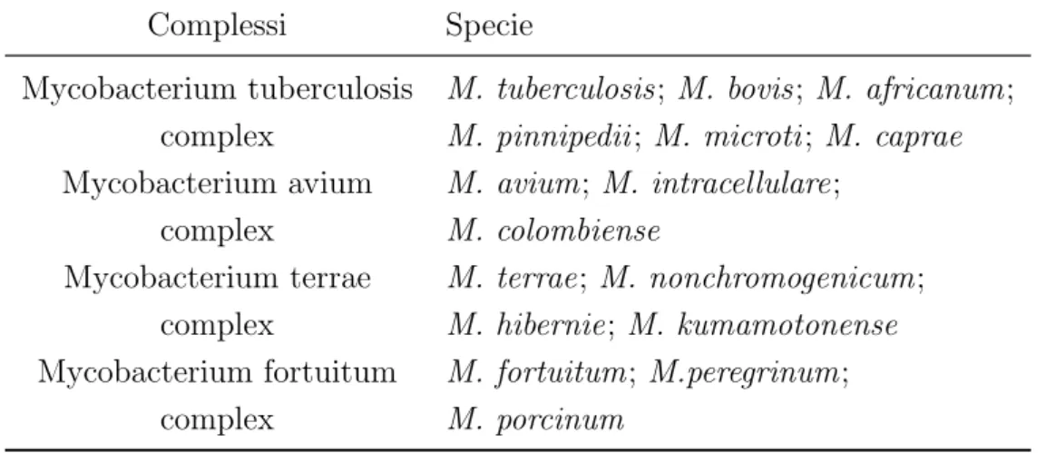 Tabella 2.5: I principali complex del genere Mycobacterium.