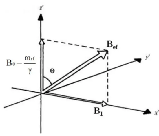 Figure 1.6: Resultant field B ef experienced by the spins in the resonantly rotating frame (x 0 y 0 z 0 ).