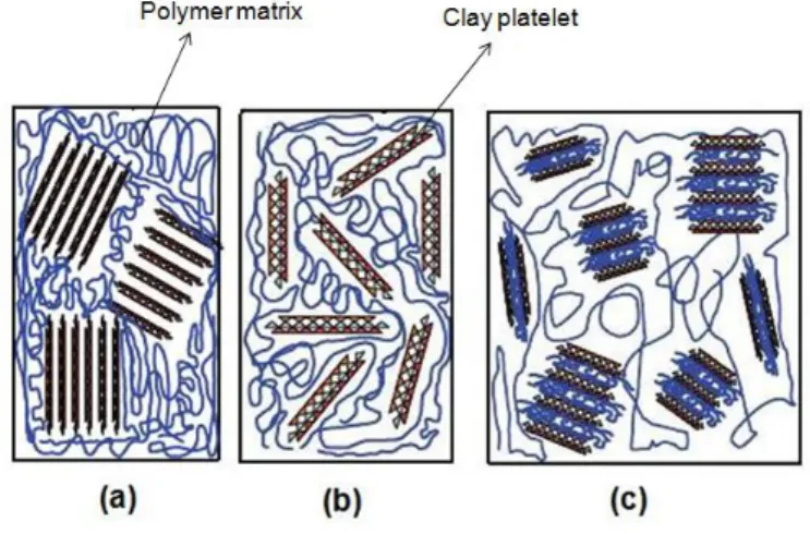 Figure 2.3: Sketch of a polymer matrix in which clay platelets are dispersed; microcomposite with clay tactoids micron in size (a), exfoliated (b) and, intercalated (c) polymer-clay composites morphologies.