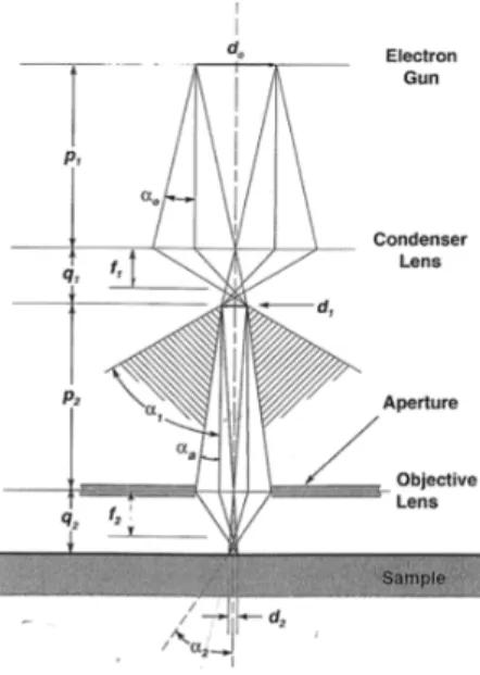 Figura 2.6: Rappresentazione schematica del sistema ottico di un SEM. Da [29].