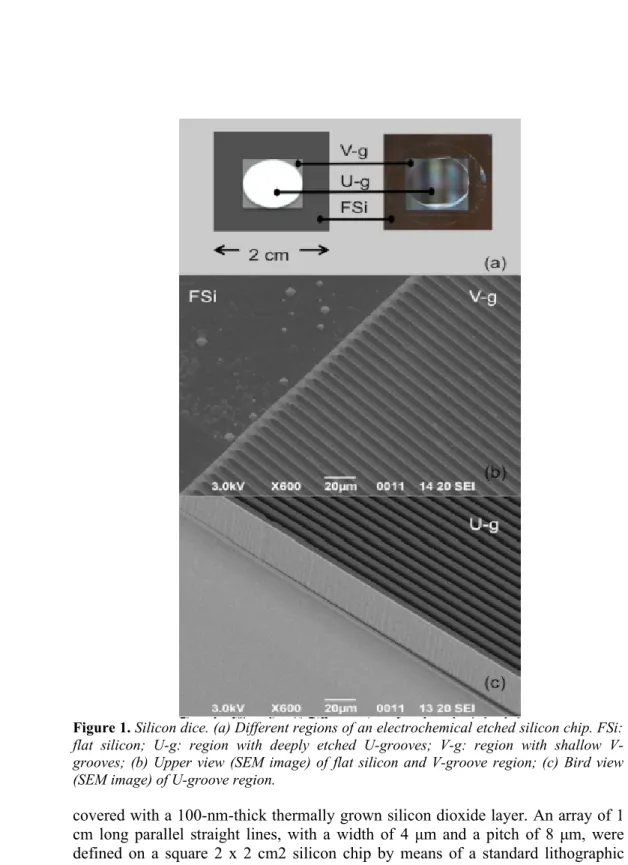 Figure 1. Silicon dice. (a) Different regions of an electrochemical etched silicon chip