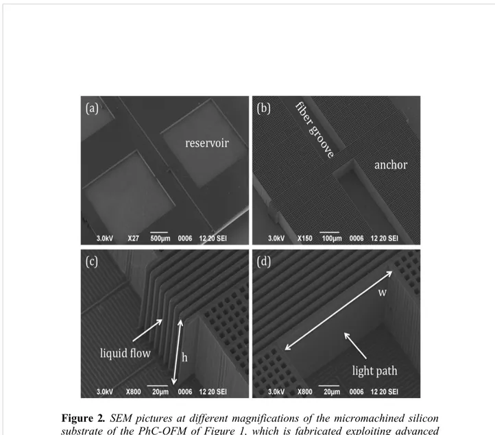 Figure 2.  SEM pictures at different magnifications of the micromachined silicon  substrate of the PhC-OFM of Figure 1, which is fabricated exploiting advanced  features of the electrochemical micromachining technology (ECM)