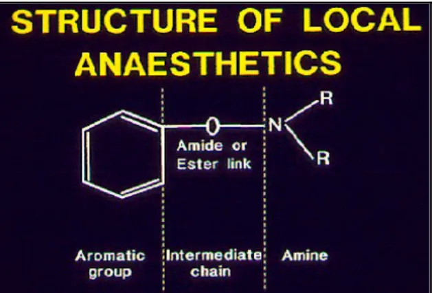 Figura 4.1:Struttura chimica generale di un anestetico locale. 