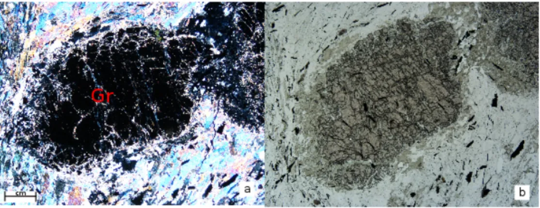 Figure 4.14: A micaschist sample from Pontremoli 1 well, from 3520 mm depth. a) Nx pic representing a garnet, about 4,8 mm in length