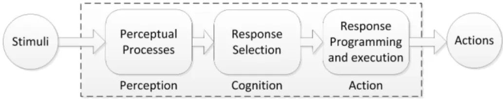 Figure 3.1.: A basic model of the human information processing. The major stages are reported: