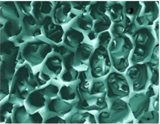 Fig. 13. Microtomographic image of a porous scaffold. (Image from laboratory of Preclinical and Surgical Studies-IOR)