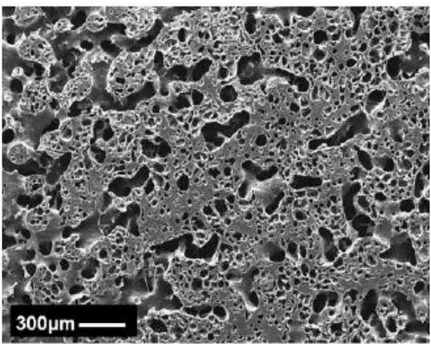 Fig. 15. Low magnification SEM micrographs of the µ-bimodal PCL scaffold. (Image from Salerno A, et al., 2010)