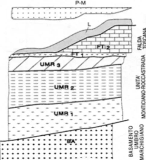 Figura 17 - Ricostruzione della struttura geologica della Toscana Meridionale sulla base delle successioni  affioranti e dei sondaggi nel campo geotermico di Larderello
