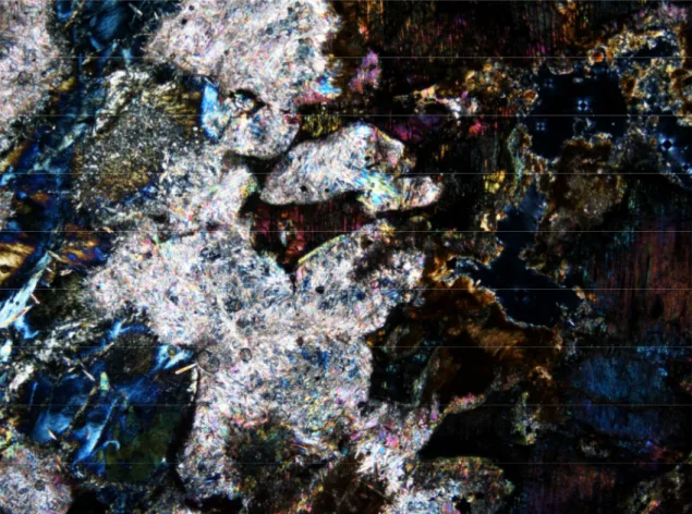 Figura 62 - . Gabbro  dell’affioramento di Gabbro Sud. Struttura cumulitica con minerali magmatici  completamente alterati (lato lungo 8.8