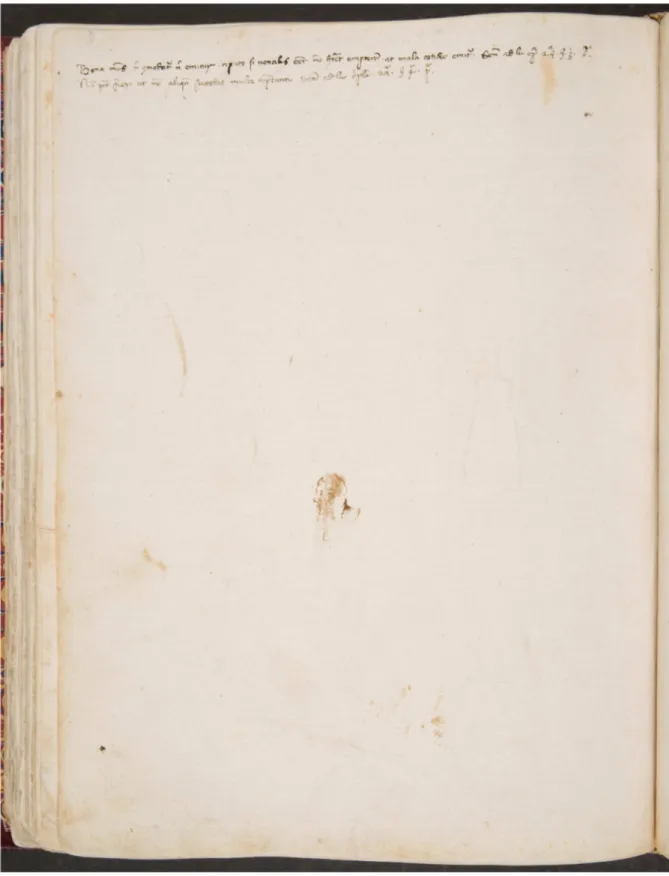 FIG. 8 Firenze, Biblioteca Nazionale Centrale, ms. Zibaldone Magliabechiano, B.R. 50, ex fascicolo VIII                       c