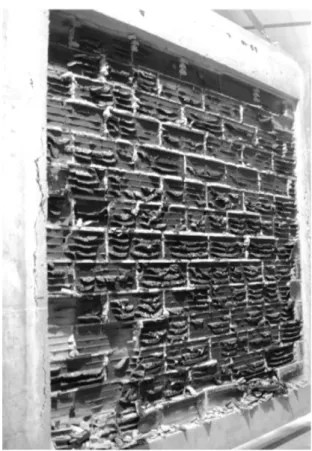 Fig.  1.7:  Nguyen  and  Meftah  [16]:  non  load-bearing  thick  wall  after  360min  of  fire  exposure,  view  of  the  exposed side
