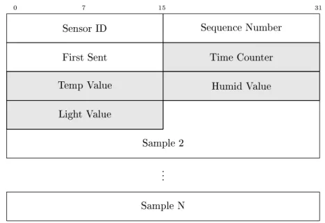 Figura 4.3: Struttura del pacchetto NodePacket. In grigio la struttura di un campione