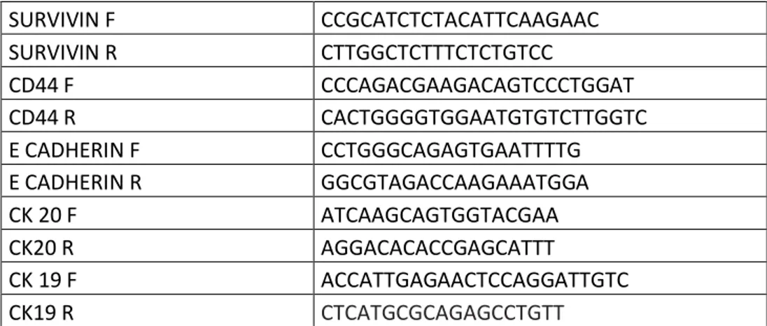 Table 6: Primers for RT-PCR 