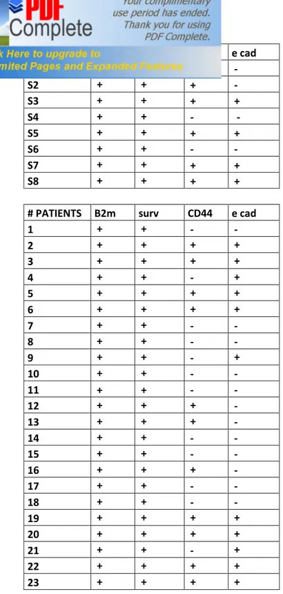 Table  10:  Gene  expression,  in  term  of  precence  or  absenc,  of  Survivin,  CD44,  E- E-Cadherin  (by  RT-PCR)