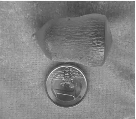 Figure 5.2: Yb,Nd:GGG, image of the crystal. - Image of the as-grown Yb,Nd:GGG crystal with 1 euro coin for contrast.