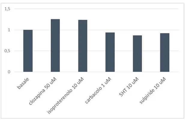 Fig 22. Effetto massimale di Clozapina,  Serotonina,  Isoproterenolo e Carbacolo sull’attività  di ERK