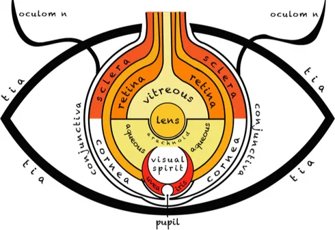 Figure 1-2. The eye according to Hunain ibn Ishaq, from  a manuscript dated circa  1200 (adapted  from: webvision.med.utah.edu and Polyak, 1957).