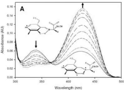 Fig. 4: Spectrophotometric analysis of holo SPT 