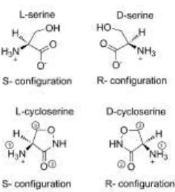 Fig. 9a: “Conformations” and “ structures” of  D- and L- α-amino acids inhibitors of SPT