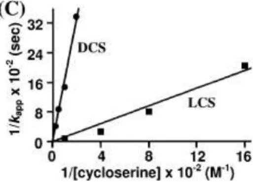 Fig 10: Secondary plot of 1/k app  versus 1/[inhibitor] for LCS and DCS. 