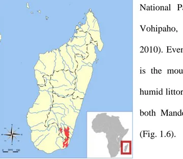 Fig 1.6: distribution of  Eulemur collaris (in red). 