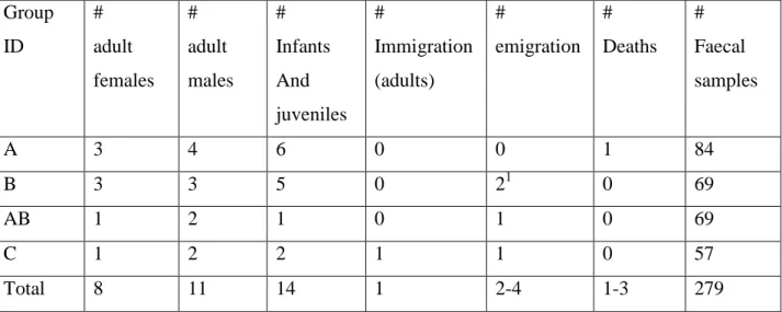 Table 2.1: Group Composition. Demography for groups in Sainte Luce (Group A and B) and Mandena     (Group AB and C) throughout the study period (February 2011-January 2012)