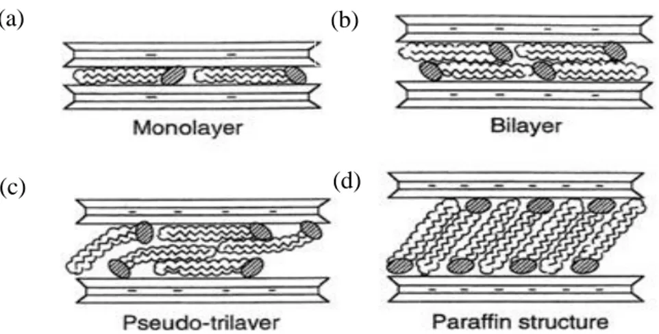 Figura 1.4: Diversi tipi di aggregazione dei tensioattivi all’interno degli spazi interlamellari 