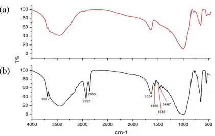 Figura 2.8: Spettro FT-IR della Laponite (a) della Lapo/C 12 VBIC (b) 