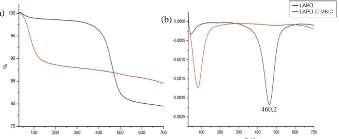 Figura 2.9: Confronto fra le TGA della  Laponite e  della Lapo/C 12 VBIC (a) e relative  derivate (b) (TGA in a 10 