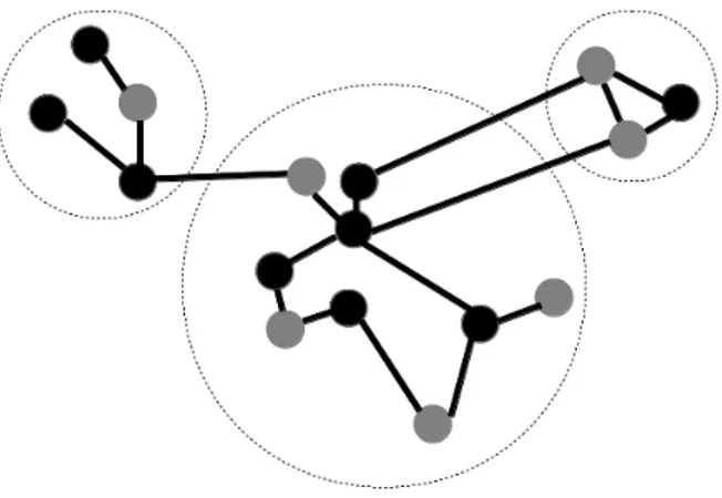 Figura 3.2: Struttura delle comunità in una rete complessa