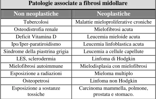 Tabella 2 – Patologie associate a fibrosi midollare. 
