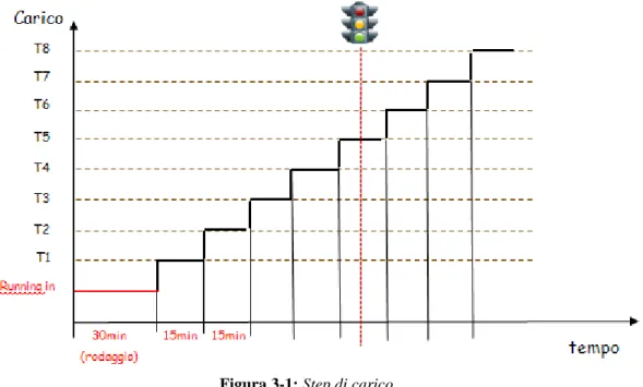 Figura 3-1: Step di carico 